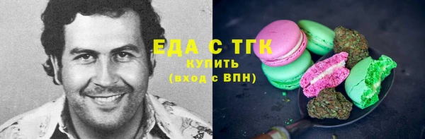 МДПВ Бородино