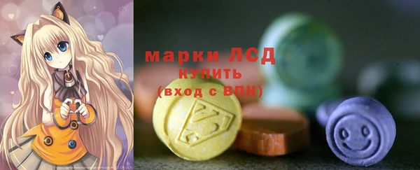 МДПВ Бородино