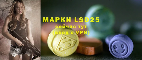 МДПВ Бородино