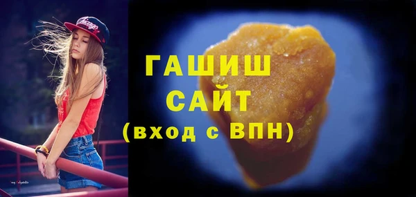 МДПВ Бородино