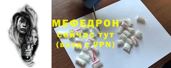 МДПВ Бородино