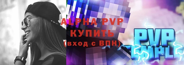 МДПВ Бородино