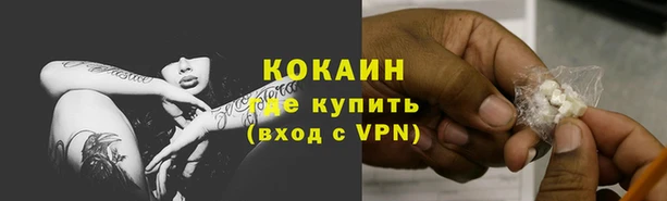 МДПВ Бородино