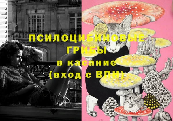 СК Бугульма