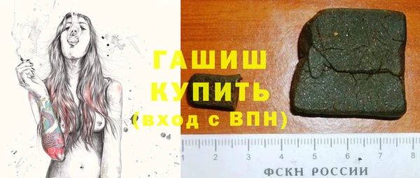 МДПВ Бородино